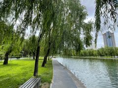 -莱西月湖公园