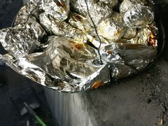 烤土豆地瓜鹅蛋-湿地人家坑烤