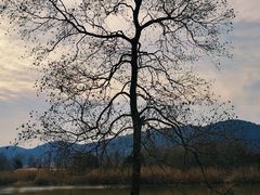 -长广溪湿地公园