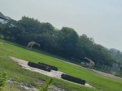-宁波野生动物园