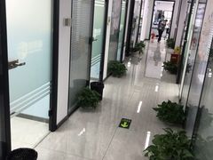 -新航道雅思托福·留学·考研培训(人民广场校区)
