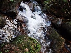-海南热带雨林国家公园吊罗山景区
