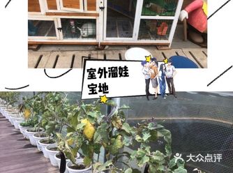 居住在大城市的我们，是否已经忘却了乡村生活