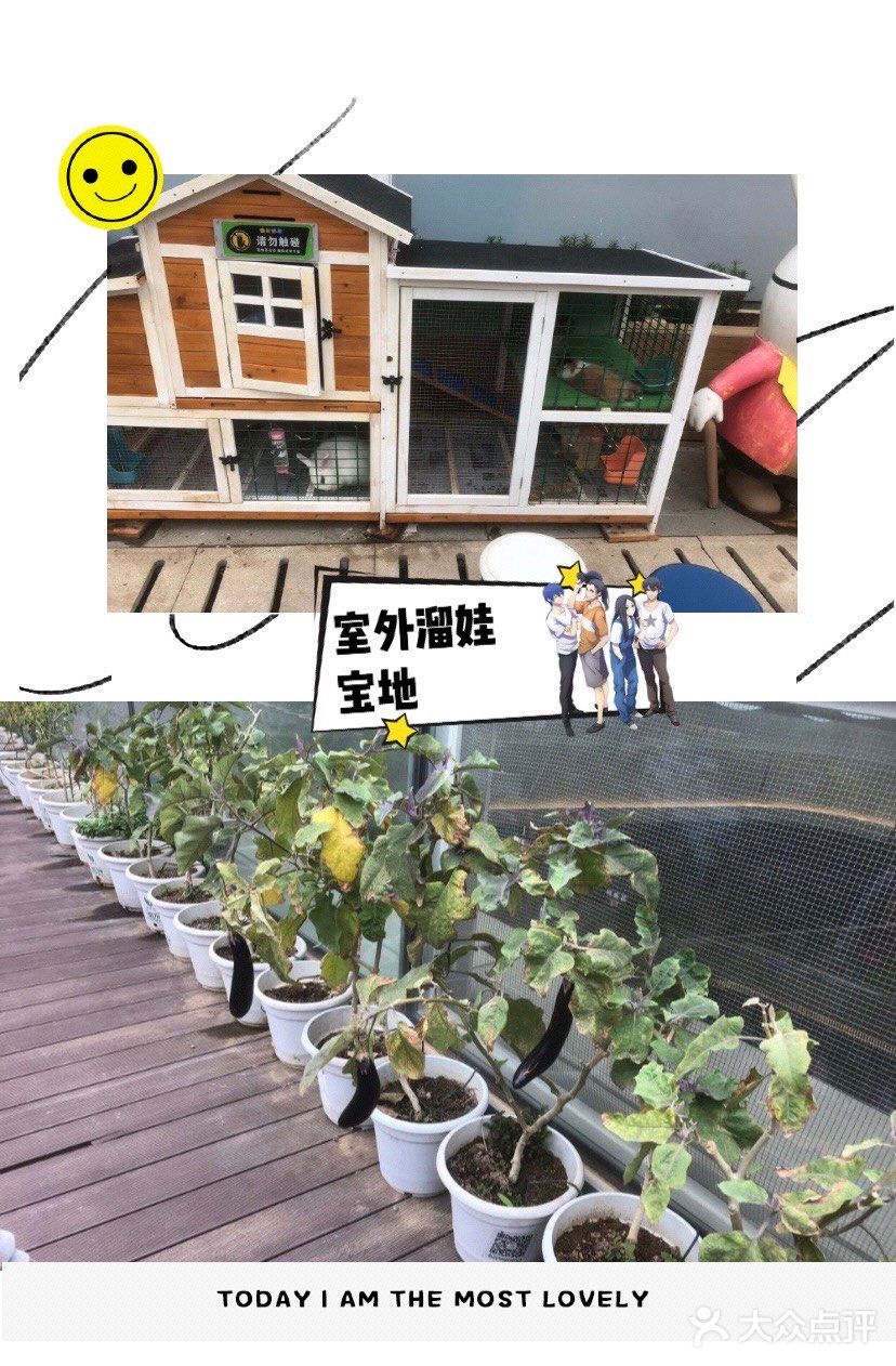 来天空农场可好？☁️