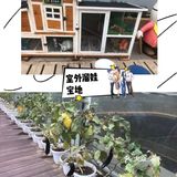 来天空农场可好？☁️