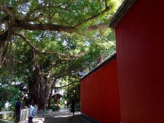 -乌山风景区