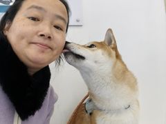 -全心全意动物诊疗中心医院(北苑店)
