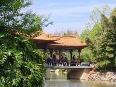 -洛龙公园