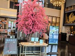 -成都安仁福朋喜来登酒店