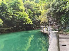 -午潮山国家森林公园
