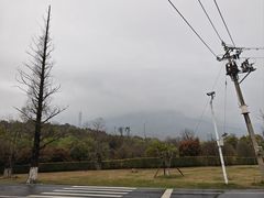 -白鹿洞书院