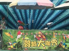 -灵玲国际马戏城
