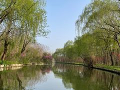 -溱湖国家湿地公园