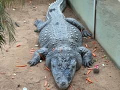-西霞口神雕山野生动物世界