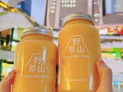 -野萃山·潮汕厚果汁(十亩地店)