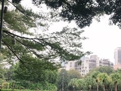 -东风公园