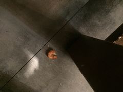 -红蕃干锅·脆皮香辣虾(南屏街金鹰店)