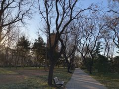 -玲珑塔公园