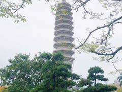 -南普陀寺