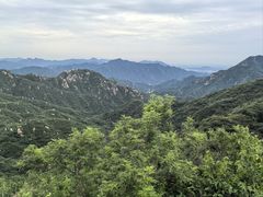-大岭沟猕猴桃谷风景区