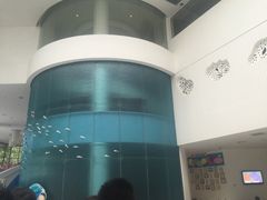 -深圳东部华侨城瀑布酒店