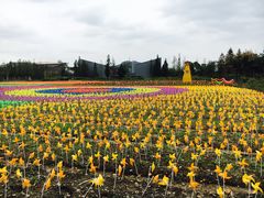 -田园东方蜜桃村的田野营地