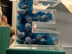 -泡泡玛特POPMART(西单大悦城店)