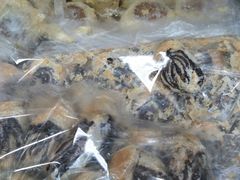 -大顺斋(牛街店)