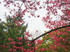 -广州雕塑公园