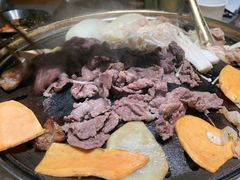 -杨小佳·齐齐哈尔烤肉·烤串(广州店)