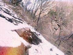 -秦岭风景区