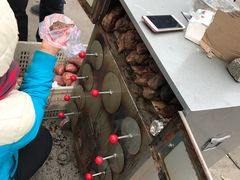 -梦幻奥陶纪景区