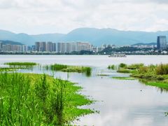 -洱海月湿地公园