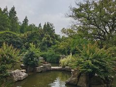 -东湖落雁景区