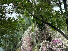 -深圳国际园林花卉博览园