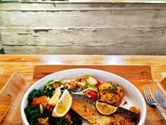 -Green Option(官舍店)