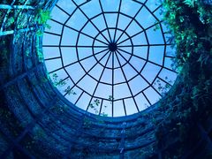 -西峡恐龙遗迹园