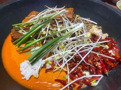 -四小区火锅·巷子里的重庆火锅(花照壁店)