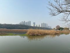 -月湖风景区