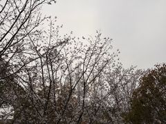 -外高桥保税区南(地铁站)