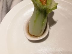 -故宫晶华