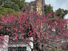 门面-无锡梅园公园