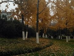 -荆川公园