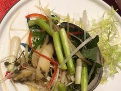 -中苑海韵