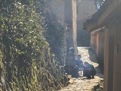 -杨家堂村