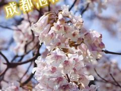 -红星桥(地铁站)