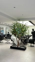 -付军剪艺JF ProSalon