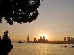 -阿水大杯茶(青岛大学店)