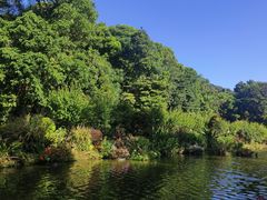 -深圳仙湖植物园
