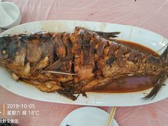 -金台阶鱼馆(于桥水库店)